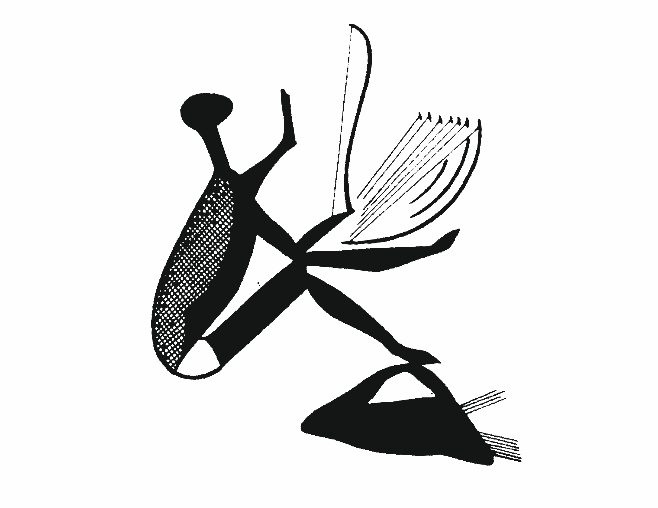 Figure 3. South African rock painting after Buchner.